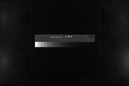 浙江陈氏族谱-陈氏族谱 [不分卷].pdf电子版缩略图