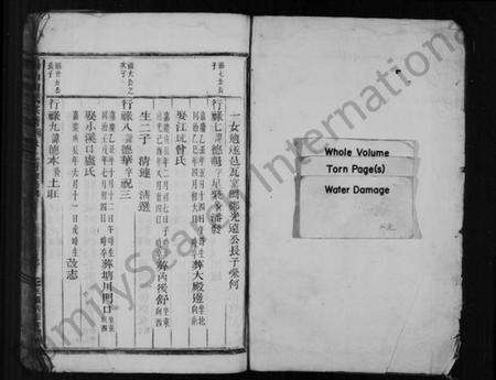 浙江陶氏族谱-陶氏宗谱 [残卷].pdf电子版预览图2