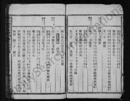 浙江陶氏族谱-陶氏宗谱 [残卷].pdf电子版预览图3