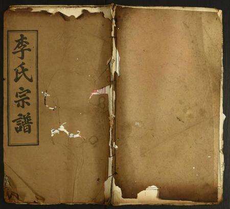 湖北李氏族谱-李氏宗谱.pdf电子版缩略图