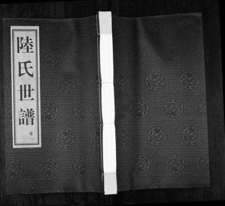 浙江陆氏族谱-陆氏世谱[4卷].pdf电子版缩略图