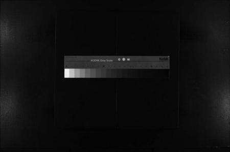 浙江陆氏族谱-陆氏宗谱 [不分卷].pdf电子版缩略图