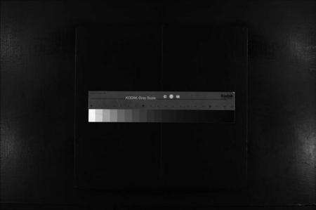 浙江陆氏族谱-陆氏宗谱 [不分卷].pdf电子版缩略图