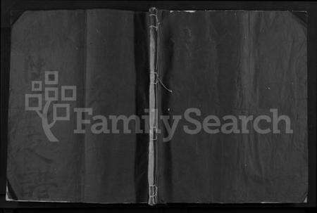 浙江陆氏族谱-陆氏支谱 [不分卷].pdf电子版缩略图