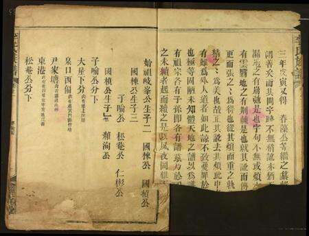 湖北李氏族谱-李氏宗谱.pdf电子版预览图2