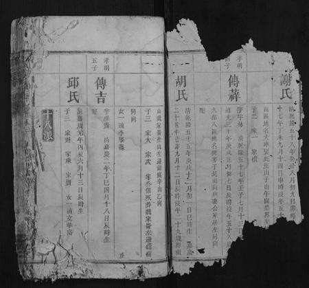 湖南徐氏族谱-宁邑徐氏三修谱.pdf电子版预览图1