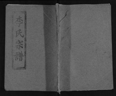 湖北李氏族谱-李氏宗谱.pdf电子版缩略图