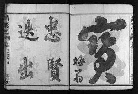 浙江童氏族谱-雁门童氏宗谱 [世系18卷,行传27卷,及卷首末].pdf电子版预览图5