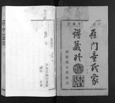 浙江童氏族谱-雁门童氏宗谱[6卷,首1卷].pdf电子版预览图1