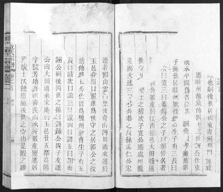 浙江童氏族谱-雁门童氏宗谱[6卷,首1卷].pdf电子版预览图2