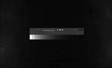 浙江郑氏族谱-雁阳郑氏宗谱 [7卷].pdf电子版缩略图