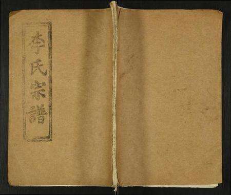 湖北李氏族谱-李氏宗谱.pdf电子版缩略图