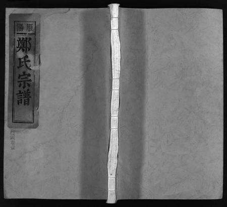 浙江郑氏族谱-雁阳郑氏宗谱 [7卷].pdf电子版预览图1