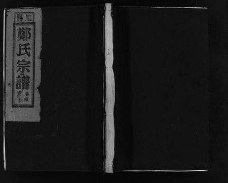 浙江郑氏族谱-雁阳郑氏宗谱 [9卷].pdf电子版预览图1