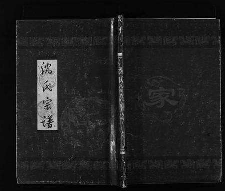 浙江沈氏族谱-霓岙沈氏宗谱 [卷数杂异].pdf电子版预览图1