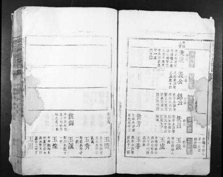 江西刘氏族谱-刘氏大成宗谱.pdf电子版预览图2