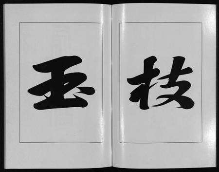 浙江刘氏族谱-青溪刘氏宗谱 [20卷].pdf电子版预览图3