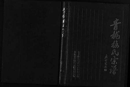 浙江梅氏族谱-青龙梅氏宗谱 [不分卷].pdf电子版预览图1