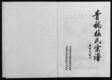 浙江梅氏族谱-青龙梅氏宗谱 [不分卷].pdf电子版预览图2