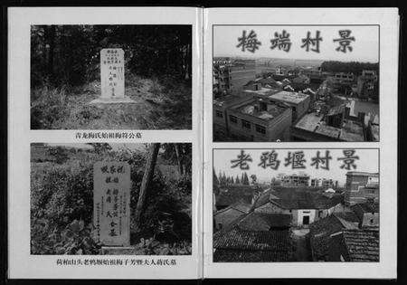 浙江梅氏族谱-青龙梅氏宗谱 [不分卷].pdf电子版预览图5