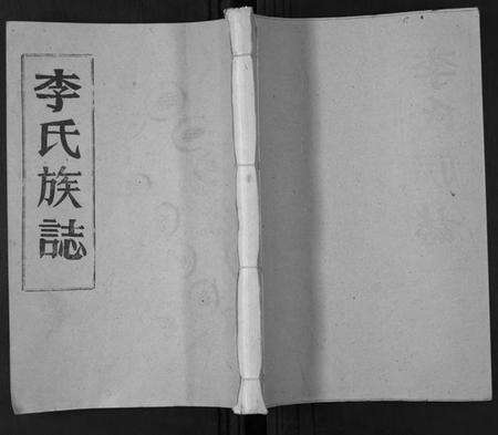 湖北李氏族谱-李氏族志.pdf电子版缩略图