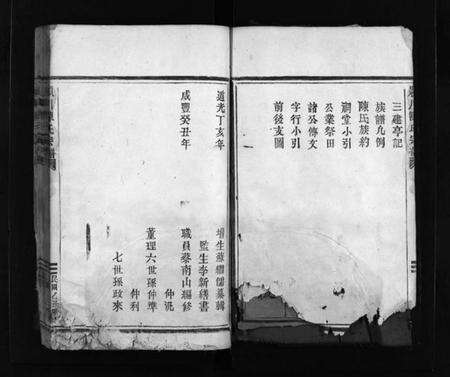 浙江陈氏族谱-頴川陈氏宗谱 [不分卷].pdf电子版预览图3