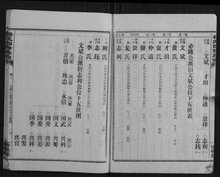 湖南杨氏族谱-杨氏四修族谱.pdf电子版预览图2