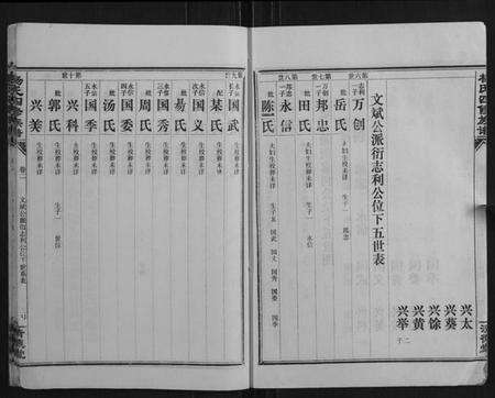 湖南杨氏族谱-杨氏四修族谱.pdf电子版预览图3