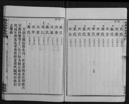 湖南杨氏族谱-杨氏四修族谱.pdf电子版预览图4