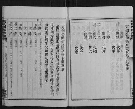 湖南杨氏族谱-杨氏四修族谱.pdf电子版预览图5