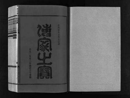 浙江马氏族谱-马良马氏宗谱 [3卷,首1卷].pdf电子版预览图2