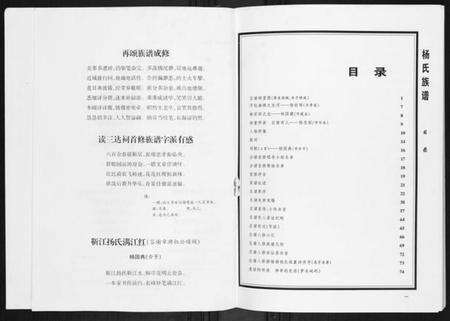 湖南杨氏族谱-杨氏族谱.pdf电子版预览图2