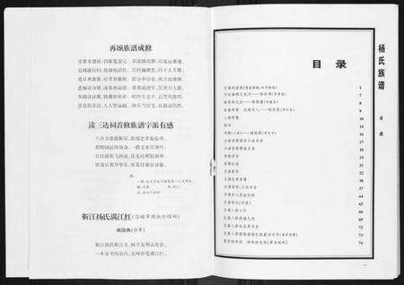 湖南杨氏族谱-杨氏族谱.pdf电子版预览图3