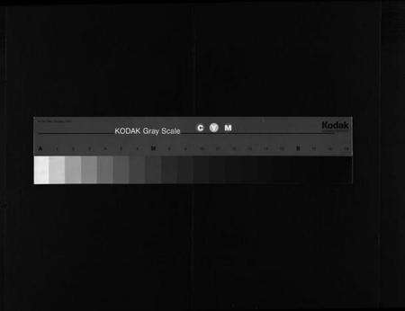 浙江吴氏族谱-高城外厅吴氏宗谱 [16卷,附1卷].pdf电子版缩略图