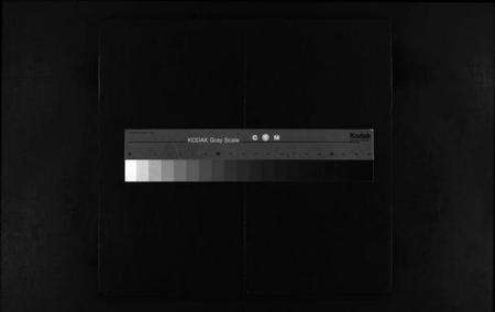 浙江高氏族谱-高氏宗谱 [不分卷].pdf电子版缩略图