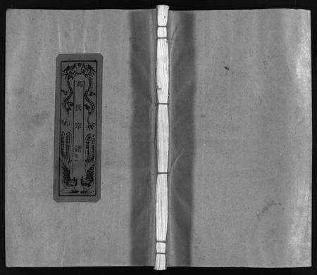 浙江高氏族谱-高氏宗谱 [不分卷].pdf电子版预览图1