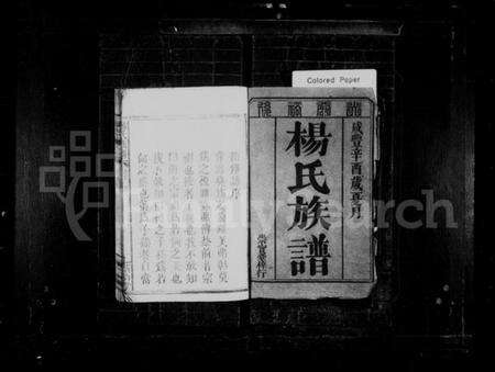 湖南杨氏族谱-杨氏族谱 [3卷,首1卷].pdf电子版预览图2