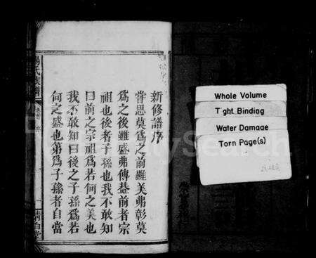 湖南杨氏族谱-杨氏族谱 [3卷,首1卷].pdf电子版预览图3