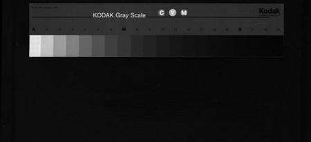浙江鲁氏族谱-鲁氏宗谱 [3卷].pdf电子版缩略图