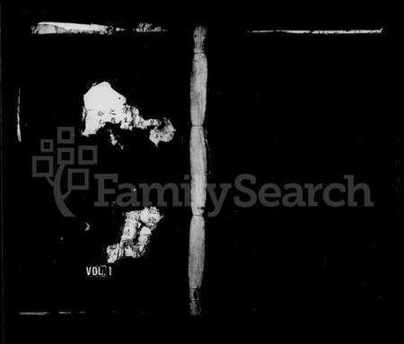 浙江李氏族谱-鲤溪李氏宗谱.pdf电子版预览图1