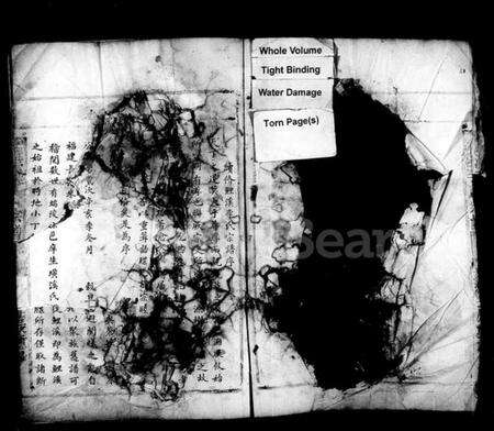 浙江李氏族谱-鲤溪李氏宗谱.pdf电子版预览图2