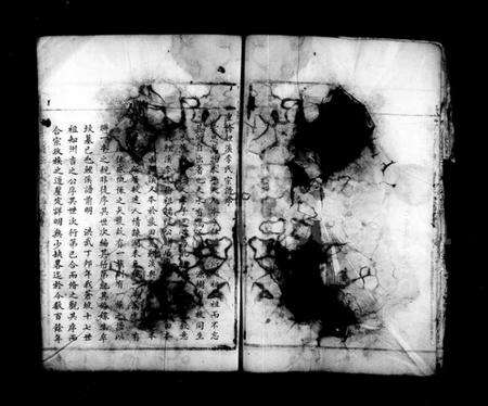 浙江李氏族谱-鲤溪李氏宗谱.pdf电子版预览图4