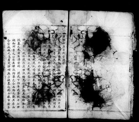 浙江李氏族谱-鲤溪李氏宗谱.pdf电子版预览图5