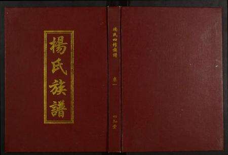 湖南杨氏族谱-杨氏族谱四修族谱.pdf电子版缩略图