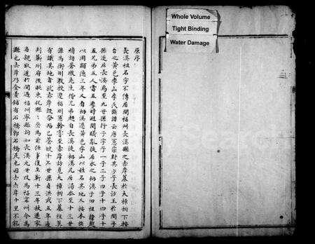 浙江李氏族谱-鲤溪李氏宗谱.pdf电子版预览图2