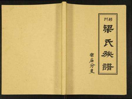 江苏梁氏族谱-邳州梁氏族谱宗庙分支.pdf电子版缩略图