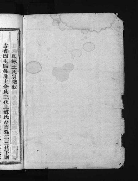 浙江王氏族谱-凤林王氏一原宗谱 [4卷].pdf电子版预览图2