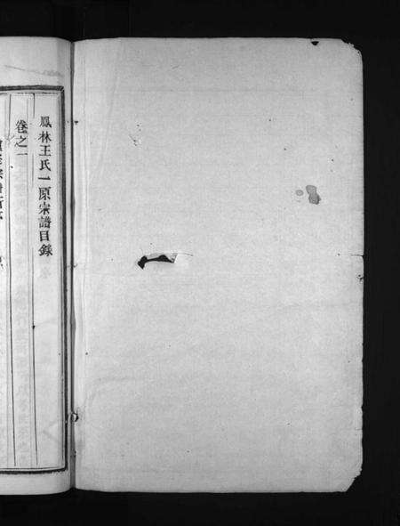 浙江王氏族谱-凤林王氏一原宗谱 [6卷].pdf电子版预览图2