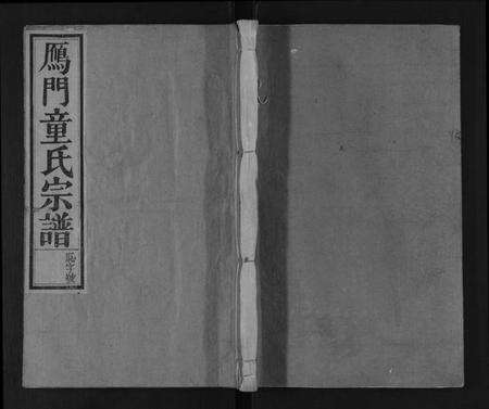 浙江童氏族谱-鴈门童氏宗谱 [10卷,首1卷].pdf电子版缩略图