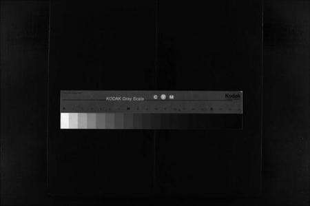 浙江郑氏族谱-鴈阳郑氏宗谱 [不分卷].pdf电子版缩略图